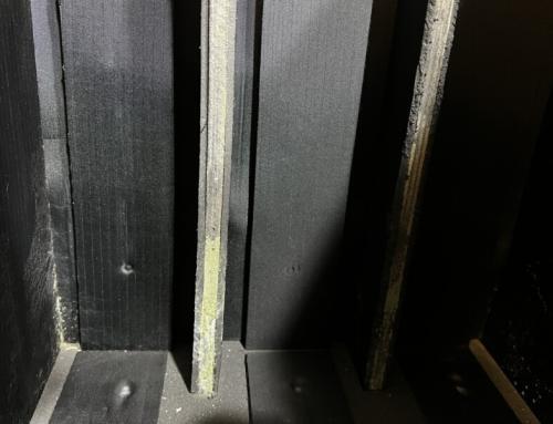 Mould and humidity