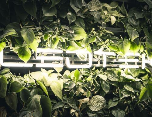 Das LEDTEK Pixelcaffè